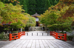 色づく３