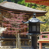高野山②
