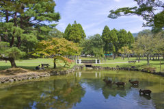 奈良公園