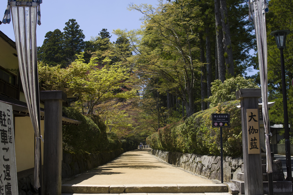 初夏の高野山③