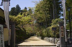 初夏の高野山③