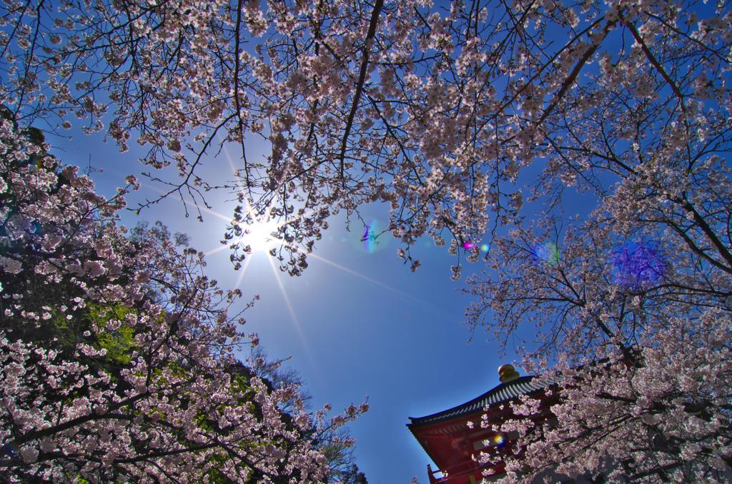 紀三井寺