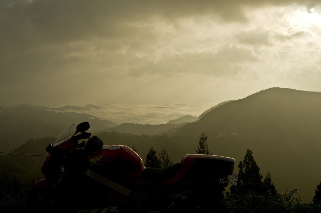 高野山の雲海