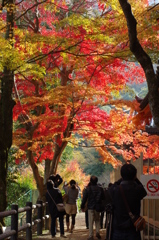 牛滝山９