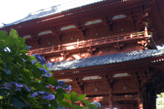 夏の高野山⑥