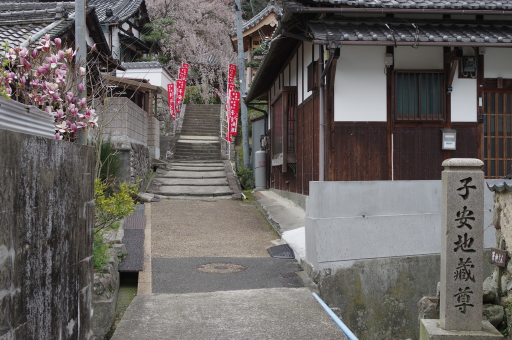 山中渓④