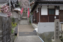 山中渓④
