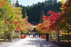 高野山②