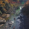 保津峡②