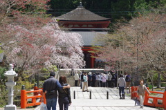 高野山①