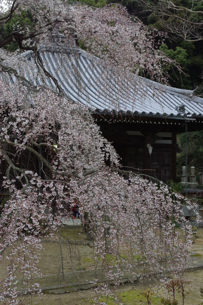 山中渓⑤
