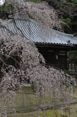 山中渓⑤