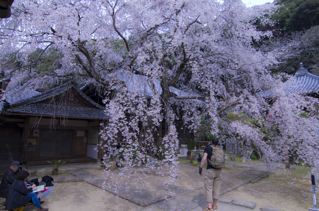 山中渓　子安地蔵尊