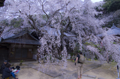 山中渓　子安地蔵尊