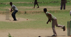 Cricket
