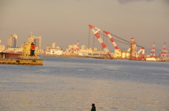 port Island Kobe