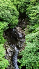 IMG_0317_1_1