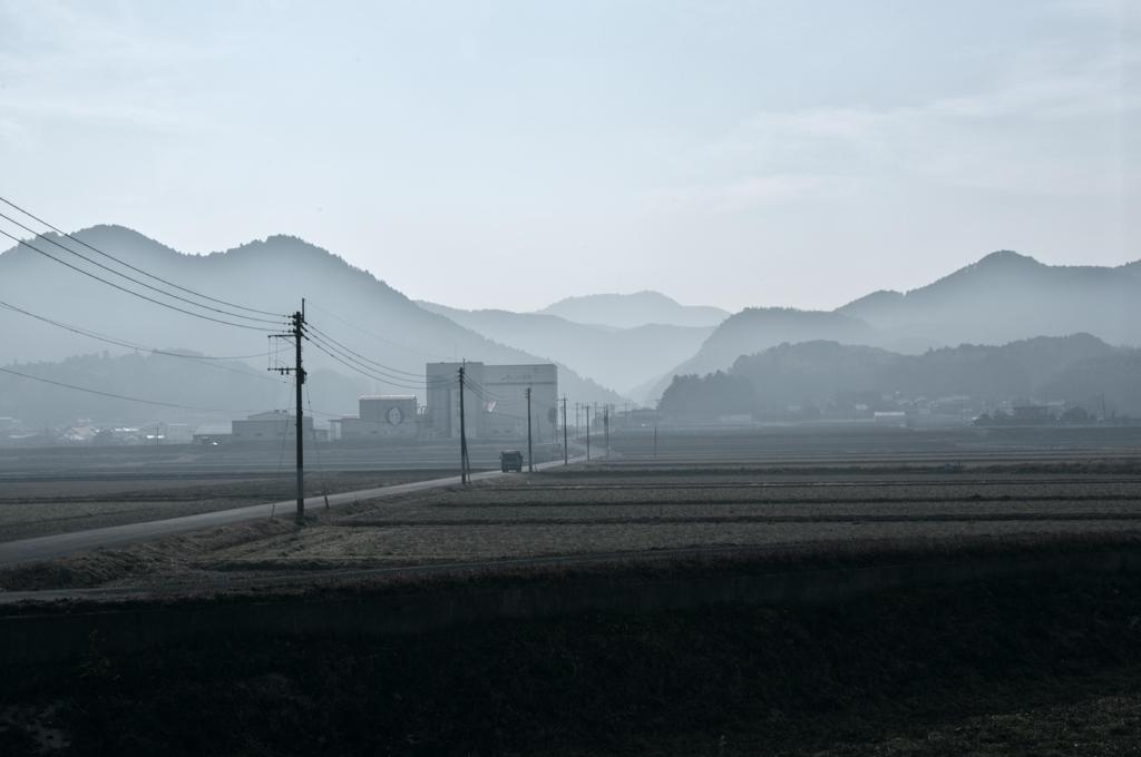 朝靄