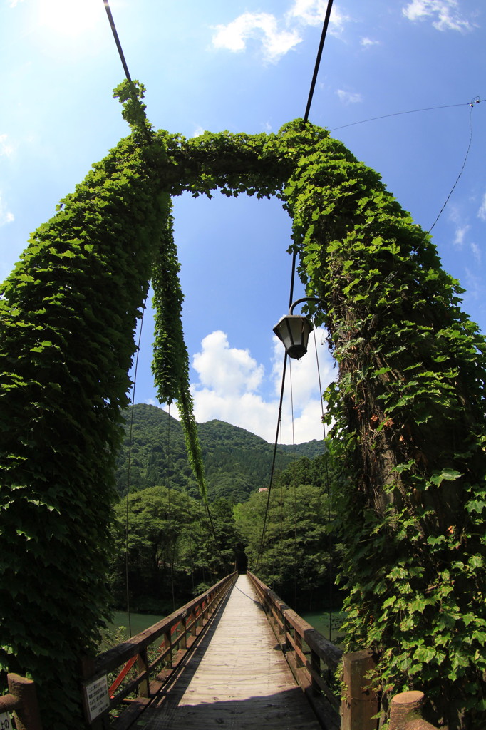 真夏の入口