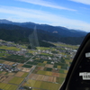 BIRD VIEW