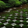 Garden◇◇◇