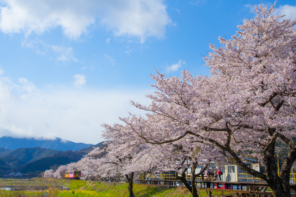 春の景色