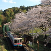 花宴～ローカル線で行こう！