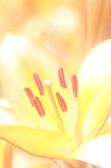 color