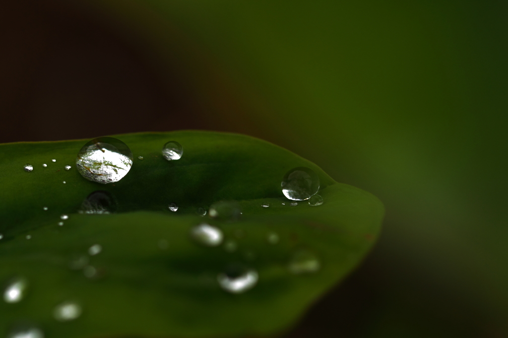 Drop