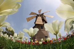 WINDMILL