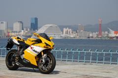 神戸メリケンパークをバックに。