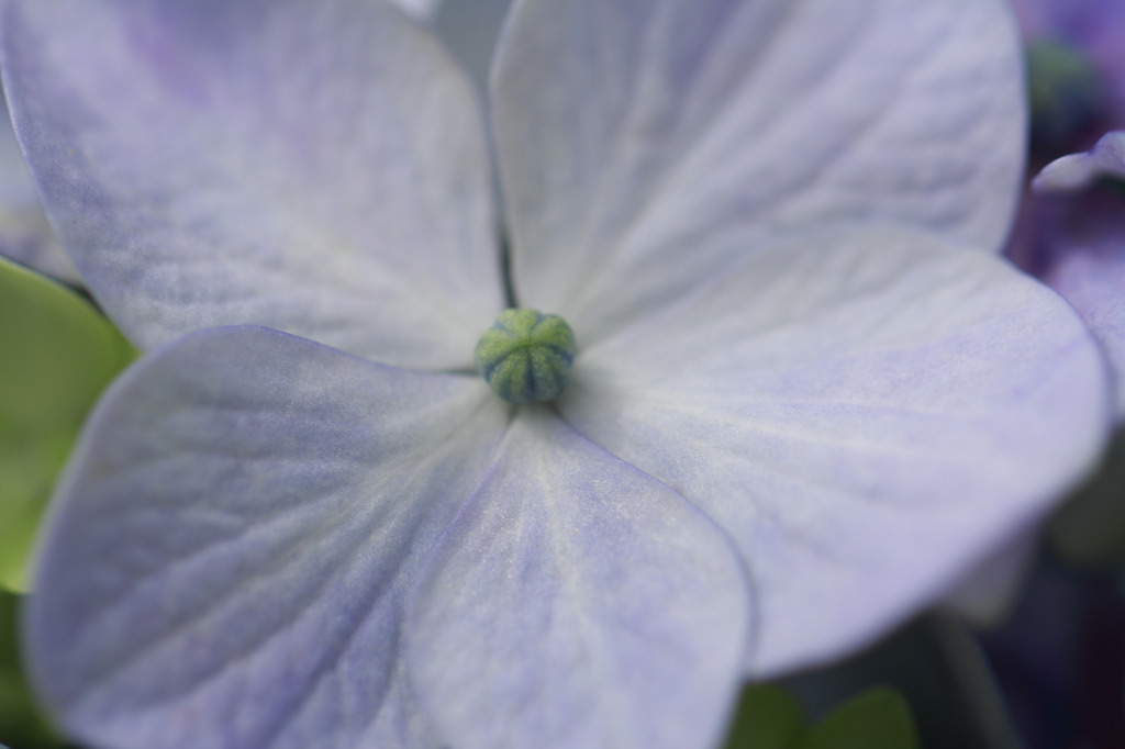 Soft