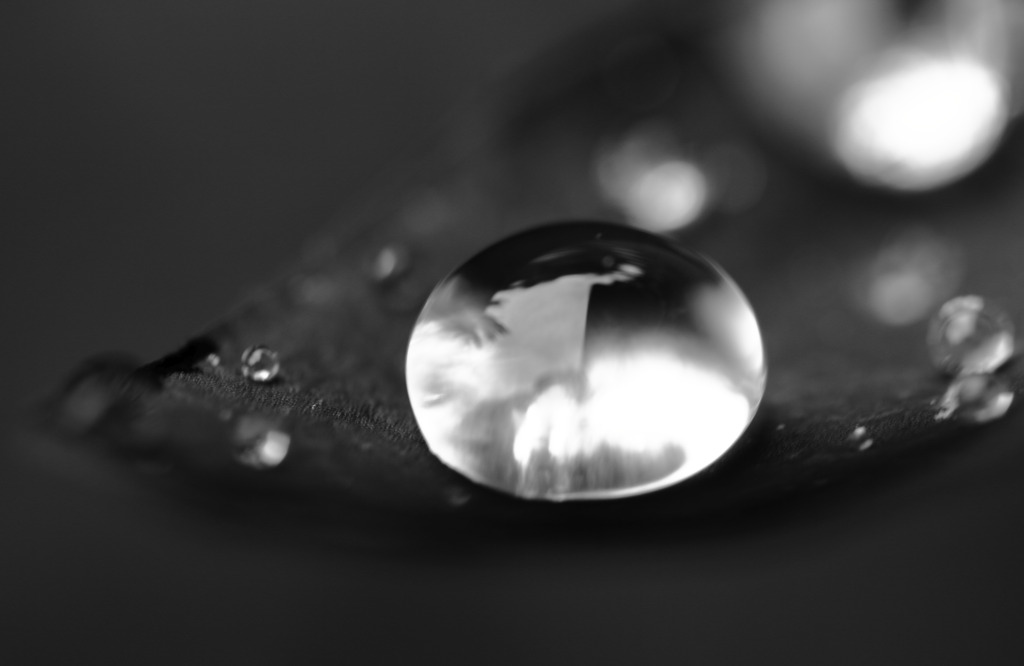 Drop Ⅳ