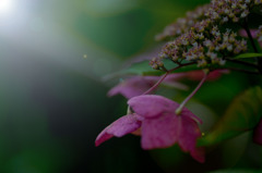 梅雨の終焉