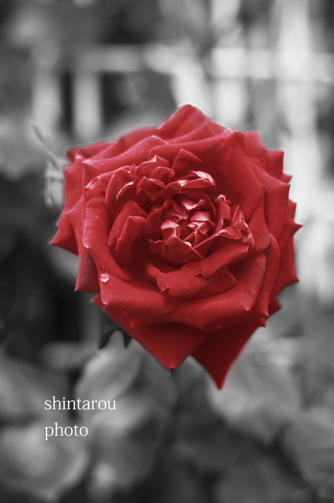 あなたに・・