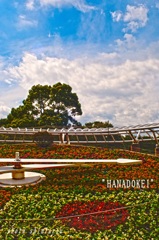 中央公園　花時計