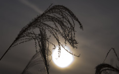 秋の夕暮れ