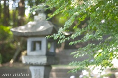 参道にて