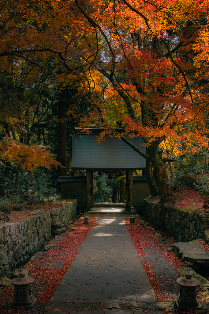 秋 山門