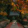 秋 山門