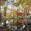 塚山公園12月1日-1