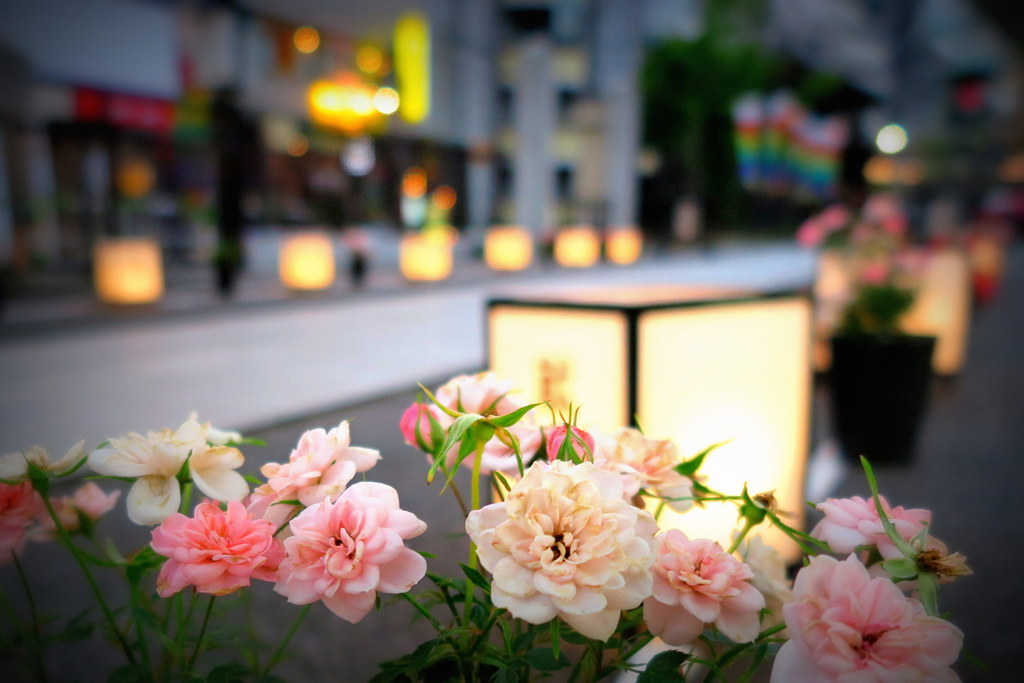 巣鴨5月15日