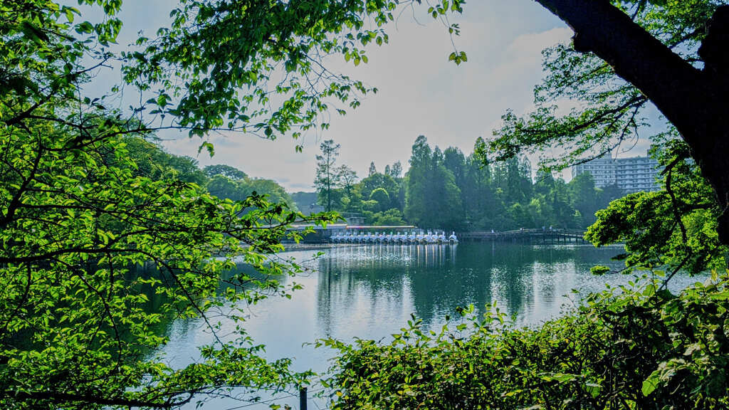 井の頭公園５月4日