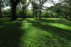 北海道大学5月31日
