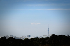 新木場3月23日