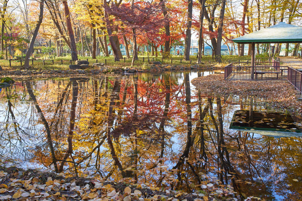 塚山公園12月3日