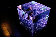 福岡5月6日福岡5月6日-4