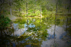 中札内六花の森9月30日