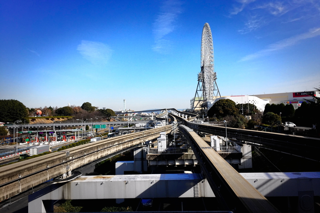 万博記念公園1月18日