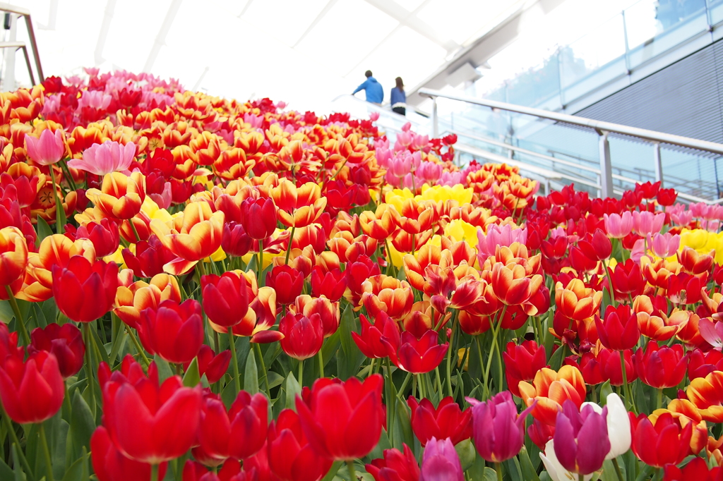東京駅八重洲口3月31日